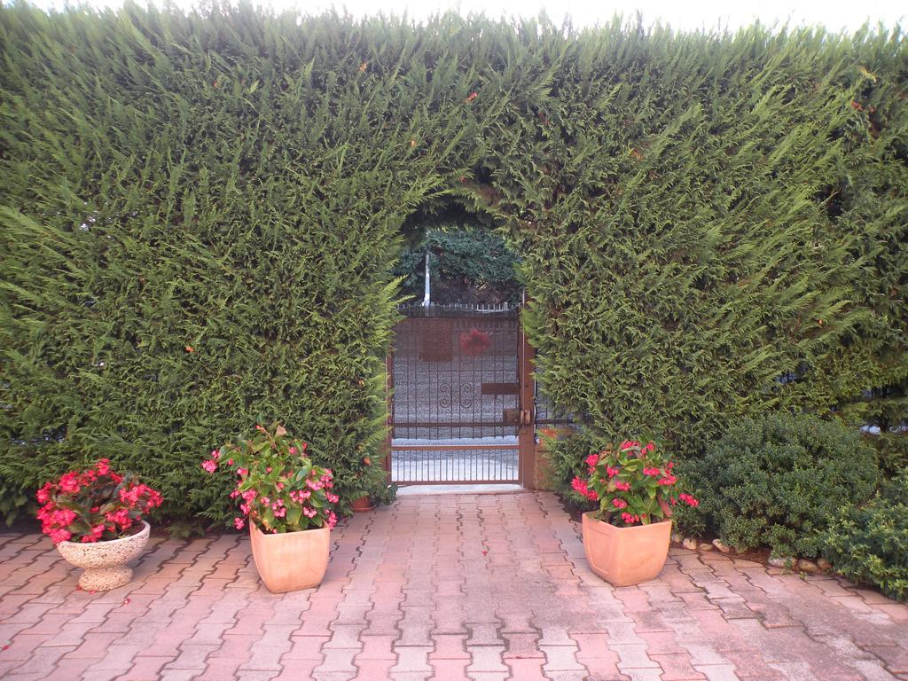 Casa Oriana Villa Rosolina Dış mekan fotoğraf